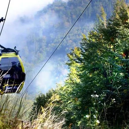 Pod Debami * Bielsko-Biała